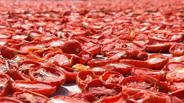 Norveç'ten Türk Kuru Domatesine Yoğun İlgi: İhracat Rekor Seviyelere Ulaştı