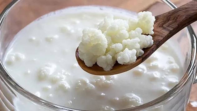 Orta Asya Bozkırlarından Modern Sofralara Uzanan 5000 Yıllık Şifa İksiri Kefir