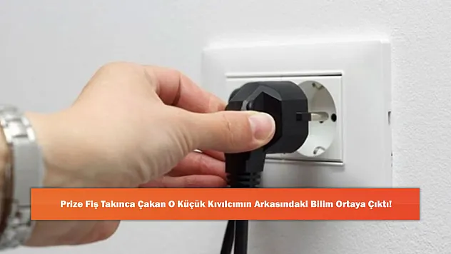 Prize Fiş Takınca Çakan O Küçük Kıvılcımın Arkasındaki Bilim Ortaya Çıktı!