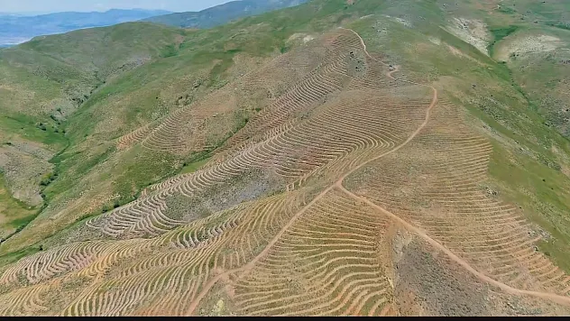 Pütürge'de Geleceğe Nefes! Dev Ağaçlandırma Çalışması Sürüyor