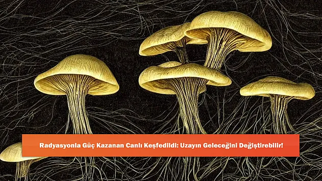 Radyasyonla Güç Kazanan Canlı Keşfedildi: Uzayın Geleceğini Değiştirebilir!
