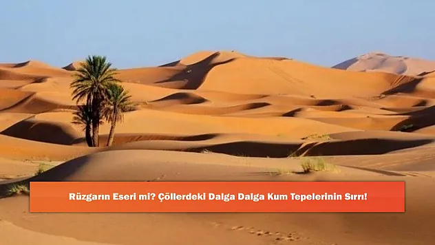 Rüzgarın Eseri mi? Çöllerdeki Dalga Dalga Kum Tepelerinin Sırrı!
