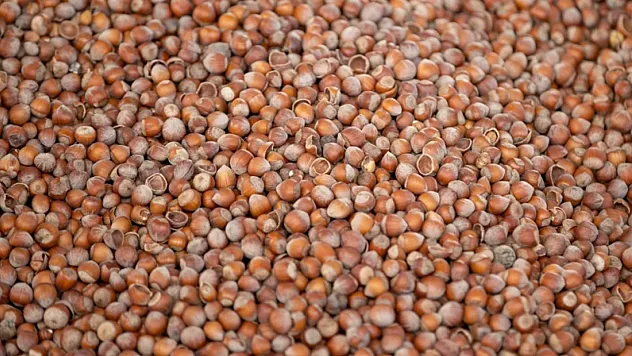 Sakarya'da Türkiye'nin İlk Yerli Aktif Karbon Hamlesi