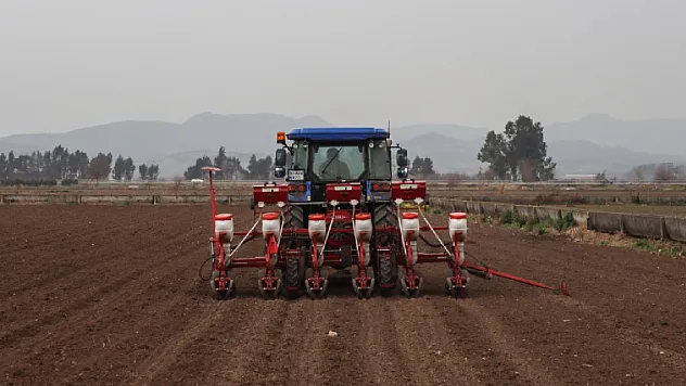Sebzeden Para Kazanıyorlar: Siverekli Ailelerin Elazığ Hasadı Türkiye'ye Dağıtılıyor