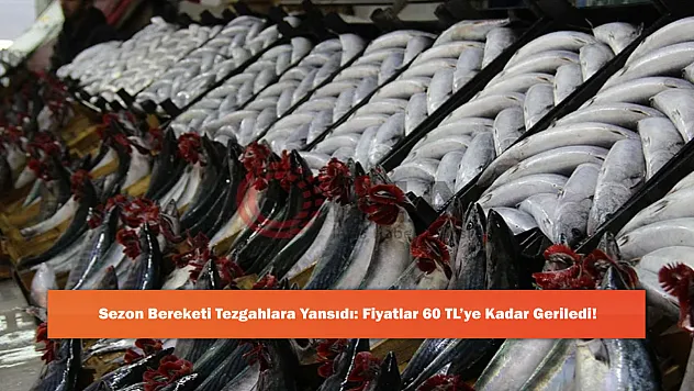 Sezon Bereketi Tezgahlara Yansıdı: Fiyatlar 60 TL'ye Kadar Geriledi!