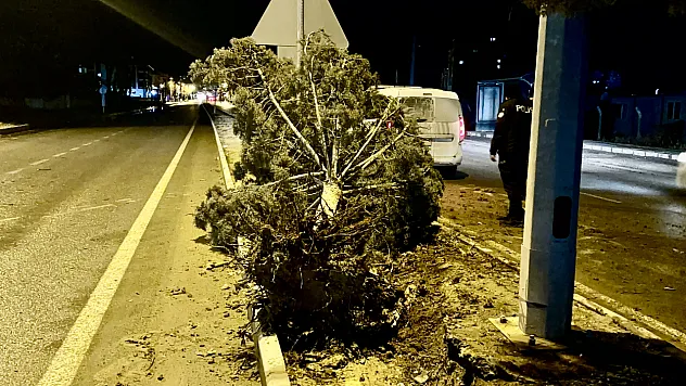 Şiddetli Fırtına Malatya'yı Etkisi Altına Aldı! Belediye İşçisi Yaralı