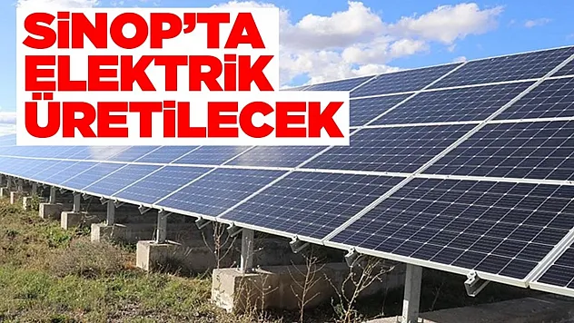 Sinop Üniversitesi'nden Yeşil Dönüşüm Hamlesi