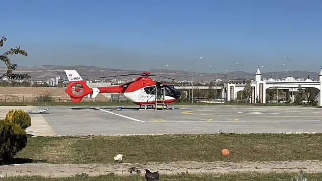 Sivas'ta Ayı Saldırısı: Ormanda Hayvanlarını Arayan Kadın Yaralandı