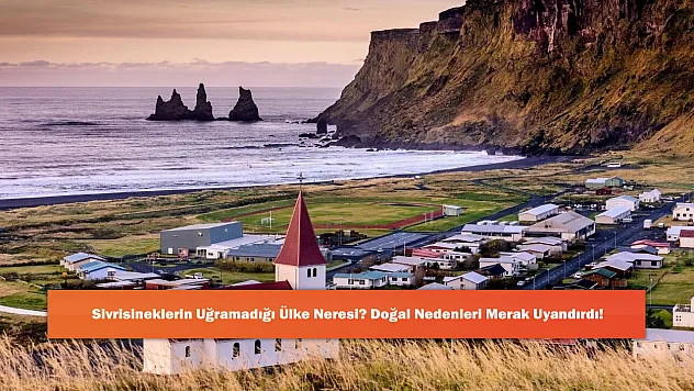 Sivrisineklerin Uğramadığı Ülke Neresi? Doğal Nedenleri Merak Uyandırdı!