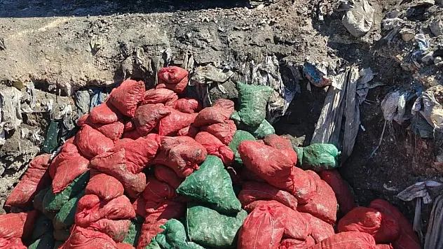 Soma'da Bozuk 4 Ton Midye İmha Edildi