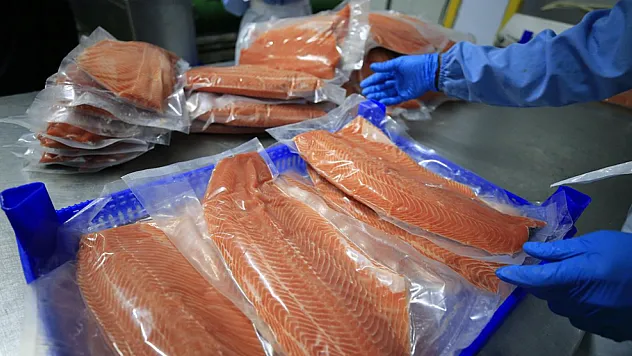 Su Ürünleri ve Hayvansal Mamuller İhracatta Rekor Kırdı