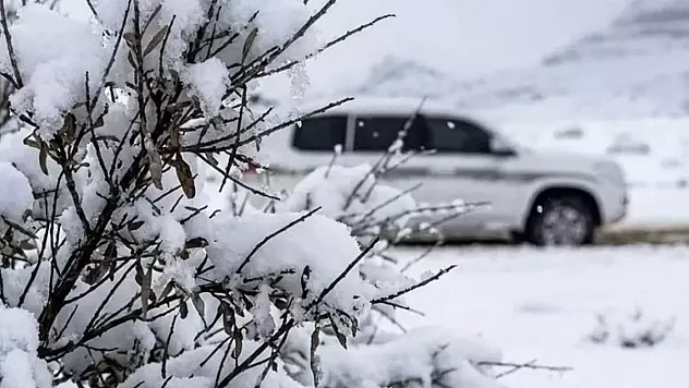Suudi Arabistan Çöllerinde Kar Manzarası Görenleri Şaşırttı