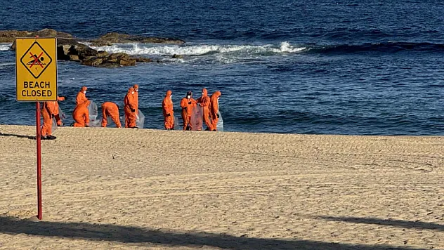 Sydney'de Plajda Dehşet! Köpek Balığı 2 Çocuğa Saldırdı