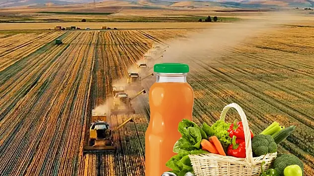 Tarım, Gıda ve İçecek Sektörü 2025'in İlk 8 Ayında İhracat Fazlası Verdi