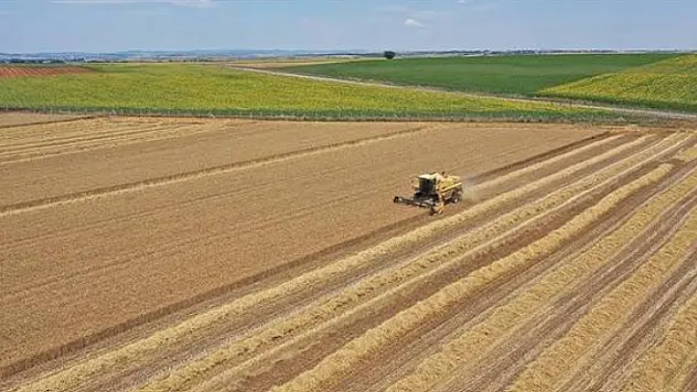 Tarımda Yeni Destek Ödemesi Açıklandı! Çiftçilerin Hesaplarına Yatırılacak
