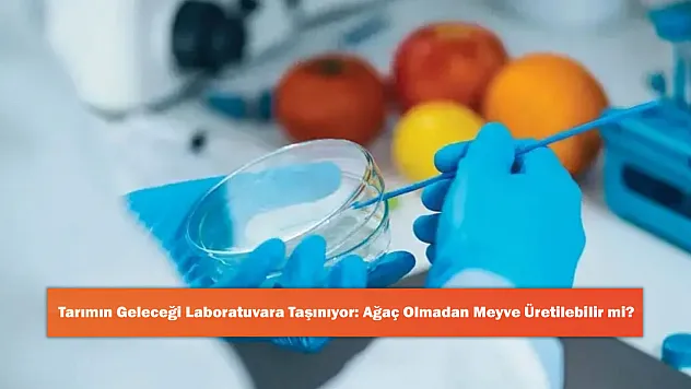 Tarımın Geleceği Laboratuvara Taşınıyor: Ağaç Olmadan Meyve Üretilebilir mi?