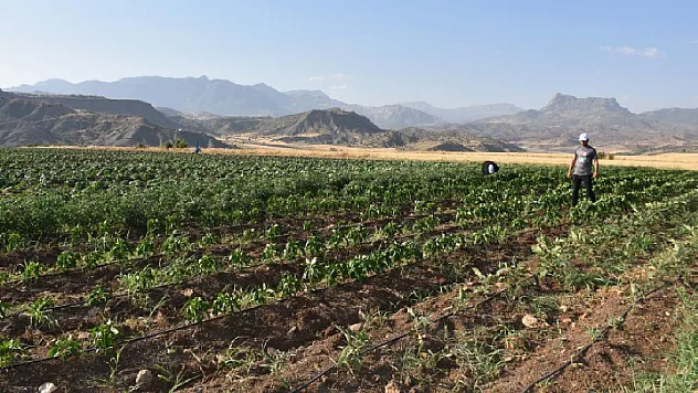 Tarımsal Girdi Fiyatlarında Alarm: Gübre ve Veterinerlik Giderleri Rekor Seviyede Arttı