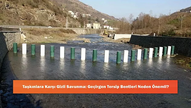 Taşkınlara Karşı Gizli Savunma: Geçirgen Tersip Bentleri Neden Önemli?