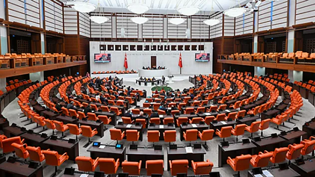 TBMM'de 2025 Nasıl Geçti