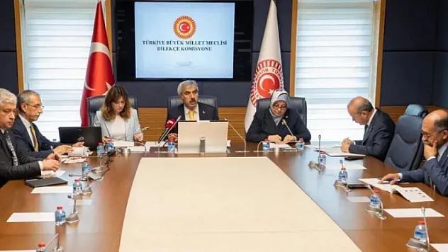 TBMM'ye Yağan İlginç Talepler! Vatandaşların Önerileri Dikkat Çekti