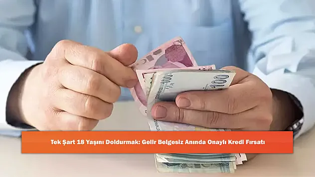 Tek Şart 18 Yaşını Doldurmak: Gelir Belgesiz Anında Onaylı Kredi Fırsatı