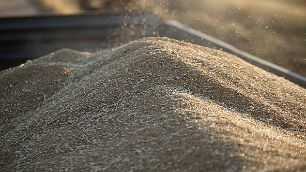TİGEM'den 4 Bin 427 Ton Buğday İçin Satış İhalesi