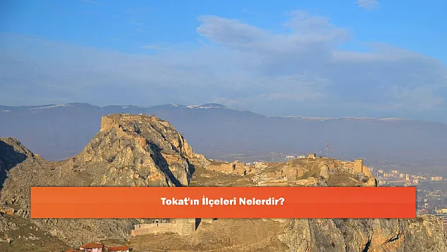 Tokat'ın İlçeleri Nelerdir?