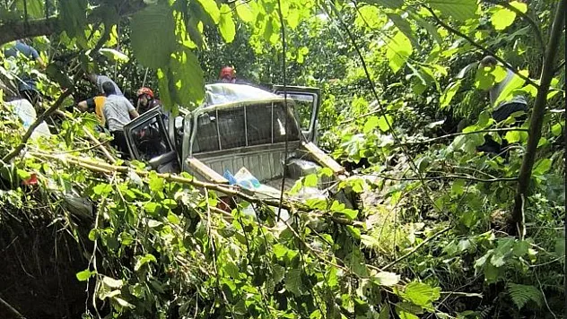 Trabzon'da Kamyonet Fındık Bahçesine Yuvarlandı