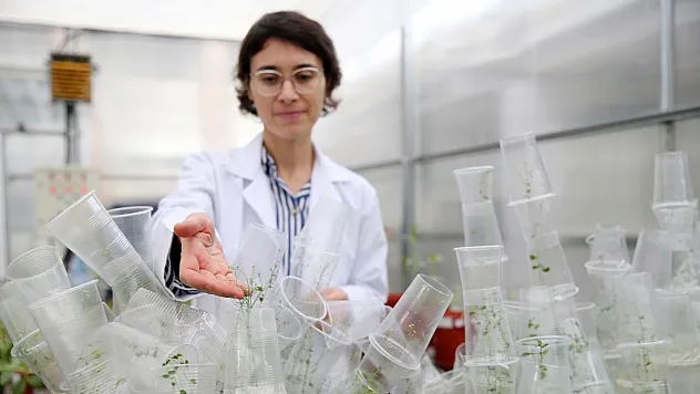 Türk Bilim Kadını Uzayda Yaşamın Şifrelerini Çözüyor