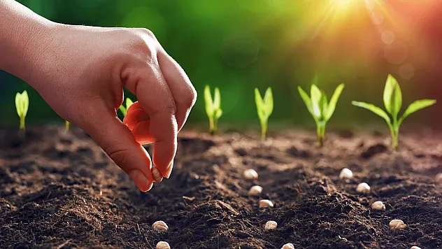 Türkiye'de Organik Tarım Üretimi Rekor Kırdı! 1,3 Milyon Tonu Aştı