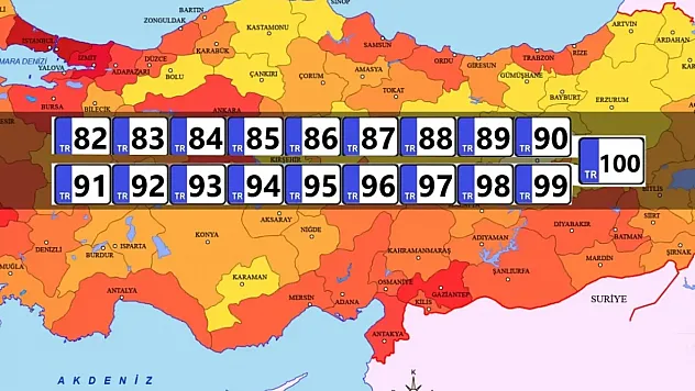 Türkiye'de Yeni İl Heyecanı: 19 İlçe İl Olma Yolunda! İşte O Bölgeler ve Olası Plaka Kodları