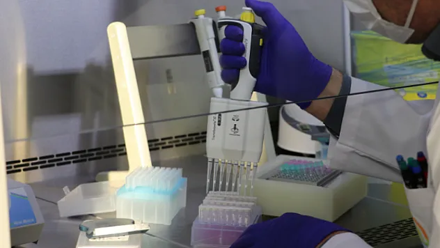 Türkiye'den Küresel Gıda Güvenliği Hamlesi: Analiz Kapasitesi Dünya Ligi'nde