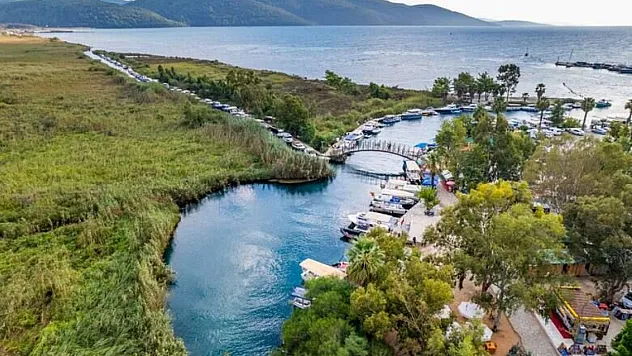 Türkiye'nin En Yeşil İlçeleri Belli Oldu: Listede Malatya'nın O İlçesi de Var