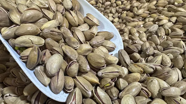 Türkiye'nin Fıstık İhracatında Dikkat Çeken Düşüş!