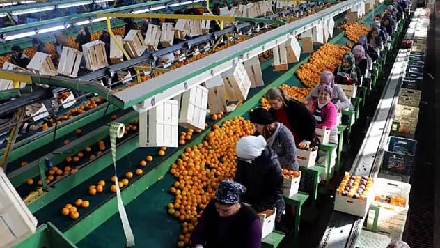 Türkiye'nin İhracatında Zirveye Çıkan Sektör Belli Oldu!