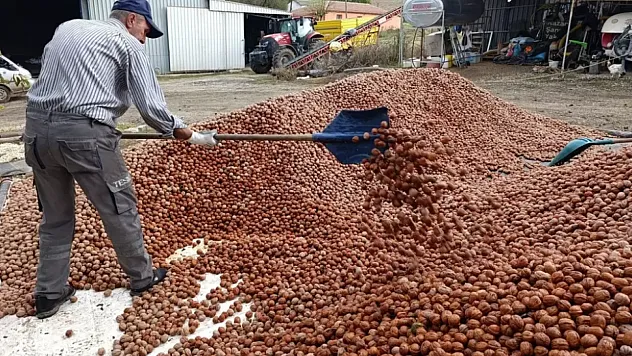 Türkiye'nin Kuruyemişçileri Bu Köye Akın Ediyor