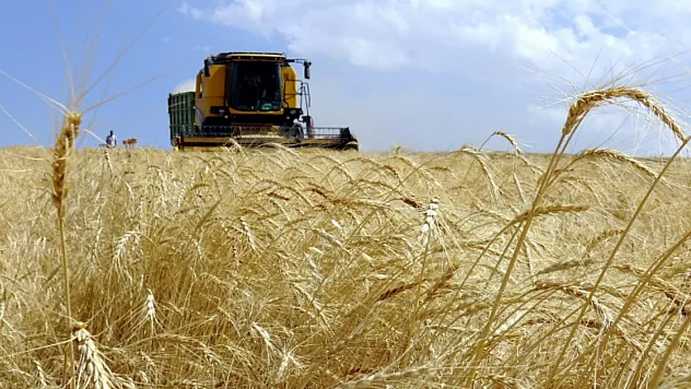 Üreticilere 634 Milyon Liralık Hibe Desteği Hesaplara Yattı!