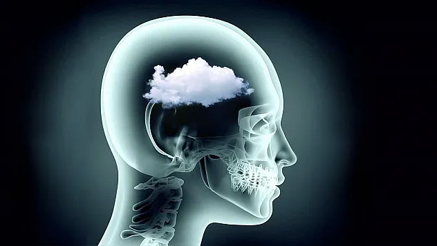 Uzmanlardan Kritik Uyarı: Tabağınızdaki Bazı Yiyecekler Beyin Sisine Yol Açabilir