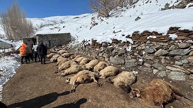 Van'da Ahır Yangını: 67 Küçükbaş ve 1 İnek Telef Oldu