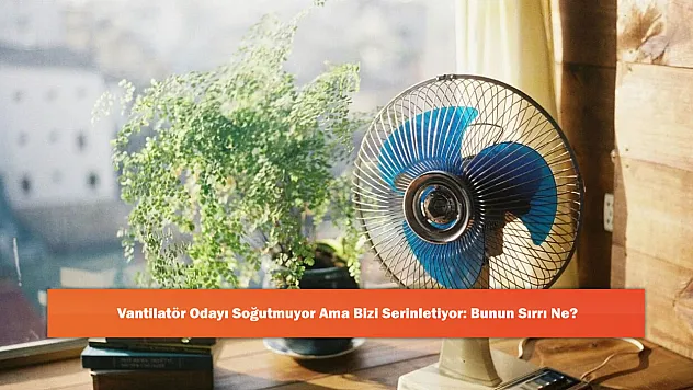 Vantilatör Odayı Soğutmuyor Ama Bizi Serinletiyor: Bunun Sırrı Ne?
