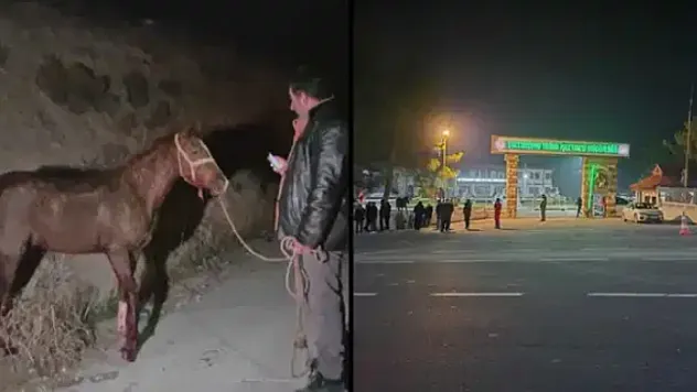 Vekilin Açıklamasına TİGEM'den Açıklama Geldi! Zarar Ne Kadar?
