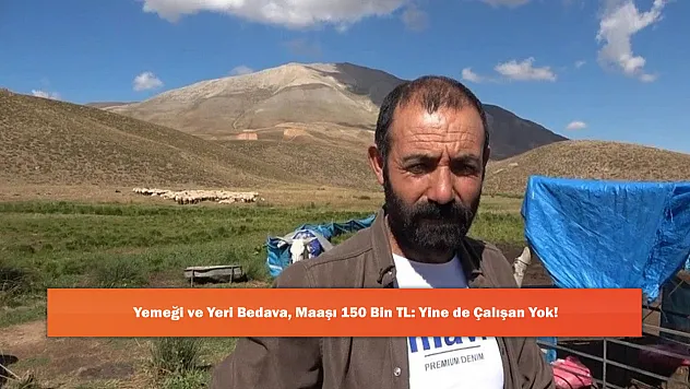 Yemeği ve Yeri Bedava, Maaşı 150 Bin TL: Yine de Çalışan Yok!