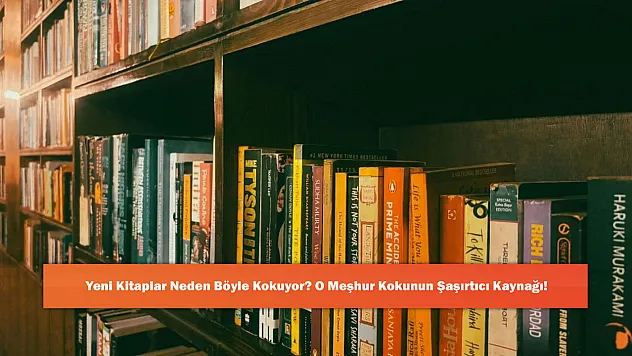 Yeni Kitaplar Neden Böyle Kokuyor? O Meşhur Kokunun Şaşırtıcı Kaynağı!