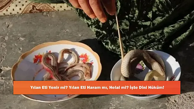 Yılan Eti Yenir mi? Yılan Eti Haram mı, Helal mi? İşte Dini Hüküm!