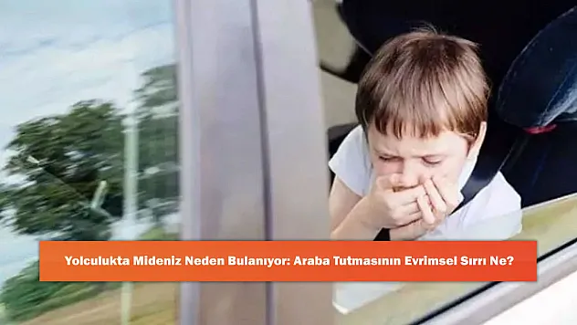 Yolculukta Mideniz Neden Bulanıyor: Araba Tutmasının Evrimsel Sırrı Ne?