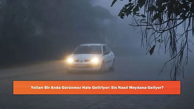 Yolları Bir Anda Görünmez Hale Getiriyor: Sis Nasıl Meydana Geliyor?