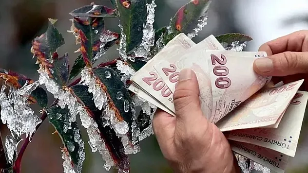 Zirai Donda Büyük Kayıp: Üreticilere 23 Milyar Liralık Tazminat Ödendi