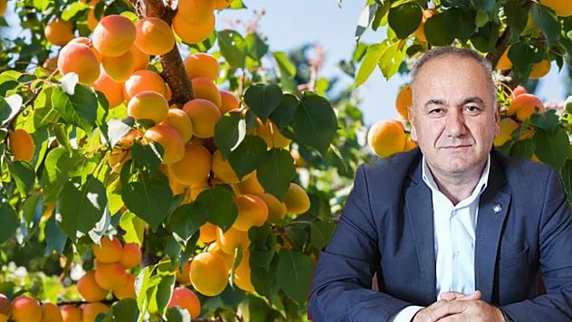 Zirai donun vurduğu kayısıda son durumu ne?