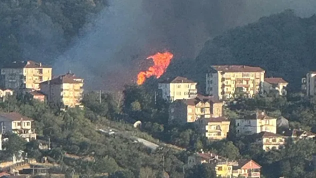Zonguldak'ta Orman Yangını Korkuttu, Aydın'da Alevlerle Mücadele 2. Gününde Sürüyor