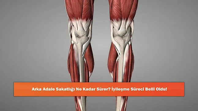 Arka Adale Sakatlığı Ne Kadar Sürer? İyileşme Süreci Belli Oldu!